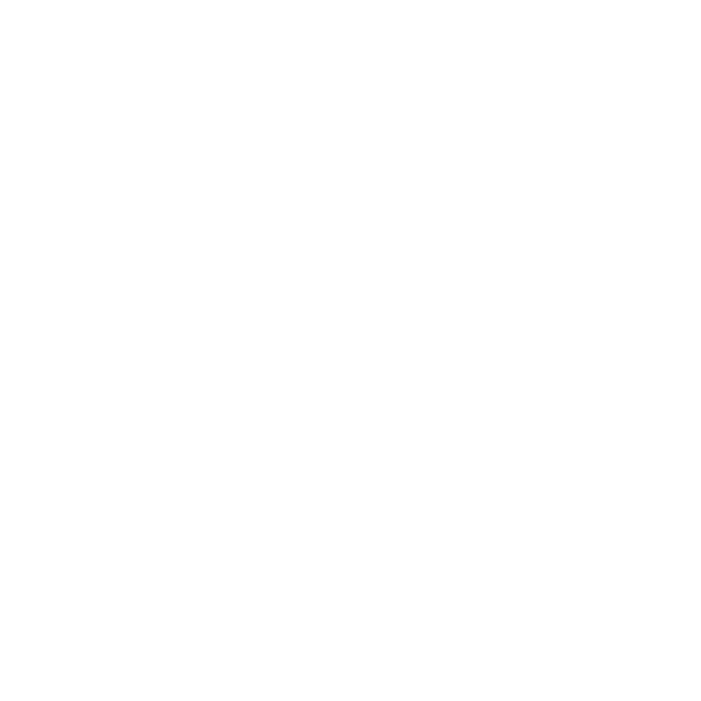 Grupo Loialt – MG Motor